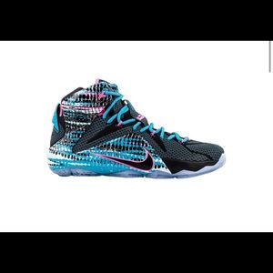 LeBron 12s 23 chromosomes